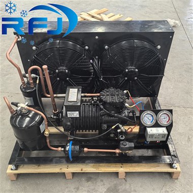 Kummerċjali Quick Freezer Għat-Tkessiħ