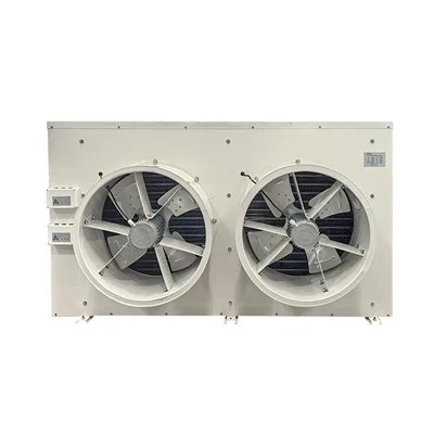Kompatt 3126m³/h 1.7KW 2 Fannijiet DJ10 Air Cooler Għall-Friżer Żgħir